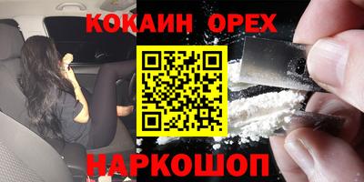 кокс Можга