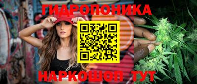 кокс Можга