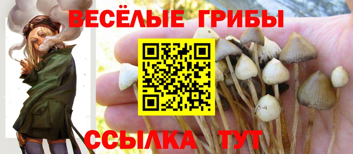 Галлюциногенные грибы MAGIC MUSHROOMS  Галлюциногенные грибы GOLDEN TEACHER  Вход с VPN  как найти закладки  Сальск 